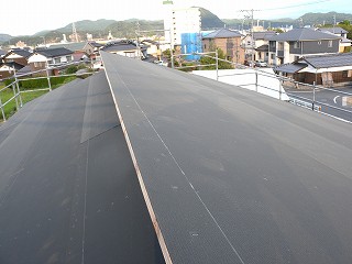 t13.jpg